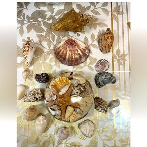 Basket of Sea Shells -Beach Ocean Collection And ASSORTED SHELLS For Collector